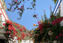Nata dal mare – Lava nera, lunghe spiagge di sabbia bianca, enormi dune e gole selvagge caratterizzano Gran Canaria