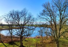 Qualcosa di speciale: l’unica isola dell’isola più grande della Germania o Una gemma su Rügen con una grande storia: Üselitz