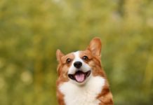 Tentativo di formare un blocco contro la Cina al vertice del G7