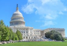 Fallimento dell’assassinio di Trump: complotto omicida o enorme incompetenza?