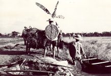 Alla vigilia della vittoria in Vietnam – La situazione della guerra guidata dagli Stati Uniti contro il Vietnam nella primavera del 1975