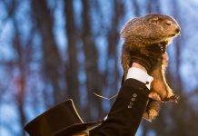 Ancora sei settimane di inverno – La profezia di Punxsutawney Phil