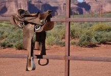 Il brutale atteggiamento da cowboy di Trump dovrebbe gettare l’Iran nello shock e nel terrore