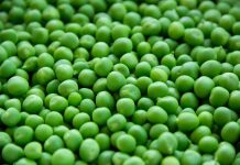 Che si tratti di Simeon o Maja, è sicuramente un falso eroe