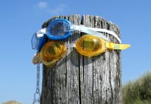 Il primo ministro del Regno di Svezia è sospettato di abuso di minori e falsificazione di documenti