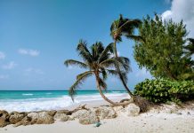 Crimine mortale o legale? Dubbio attacco militare statunitense contro una presunta imbarcazione di trafficanti di droga nei Caraibi