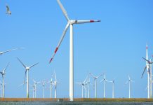 Shock ambientale: la ZDF affronta il tema dei rifiuti tossici derivanti dallo smantellamento delle turbine eoliche