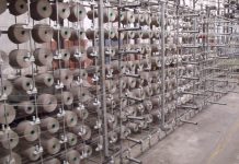 Musk, Morlock e i magici Müller